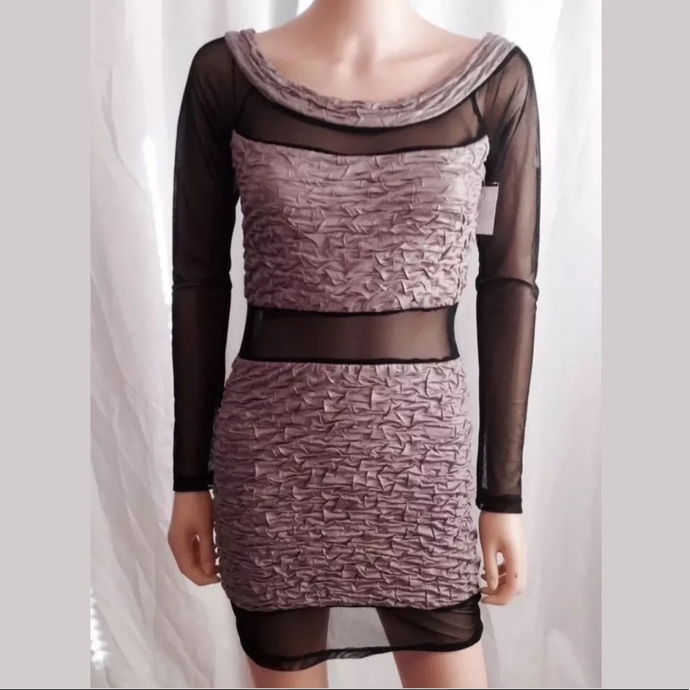 Color In Motion Taupe Semi-sheer Bodycon Dress Lg